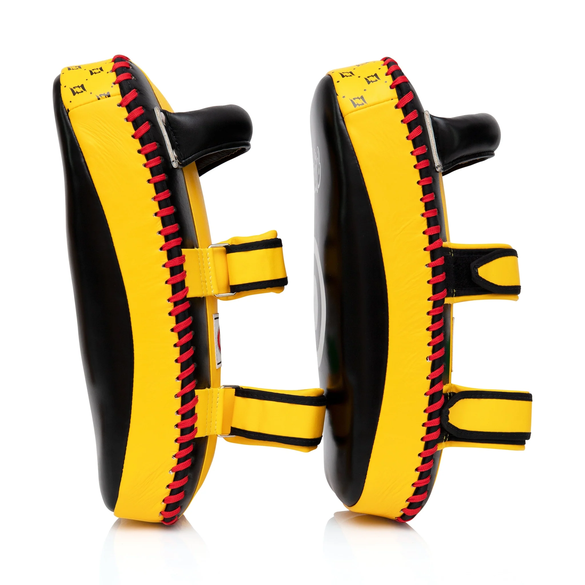 Fairtex Muay Thai Curved Pads - Image 14